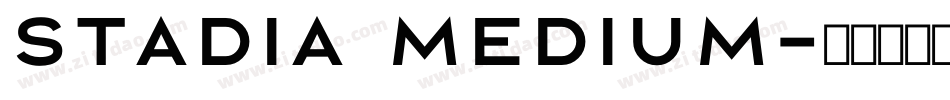 Stadia Medium字体转换